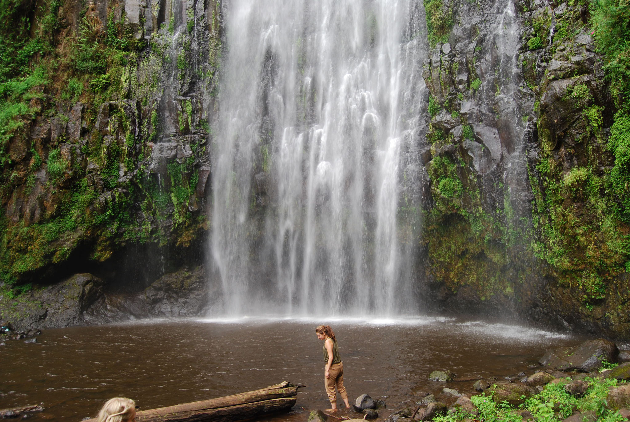 Kilimanjaro Ulusal Parkı: Şelaleler ve Kahve Turu